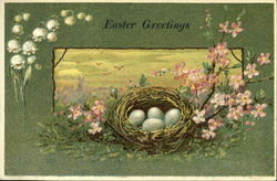 Eggs in Nest with Flowers Postcard