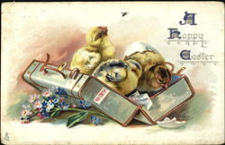 Three chicks in a suitcase Postcard