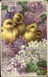 Chicks amongs Lilacs With Chicks Postcard Postcard