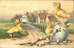 Chick Family With Chicks Postcard Postcard