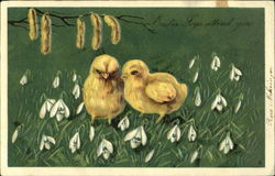 Two chicks in a field with flowers Postcard