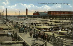 Cattle Stalls, Union Stock Yards Chicago, IL Postcard Postcard