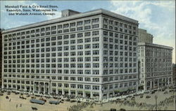 Marshall Field & Co's Retail Store Postcard