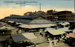 Lexington market, the Largest Market in the World Baltimore, MD Postcard Postcard