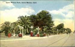 Santa Monica Park, Santa Monica, Calif California Postcard Postcard