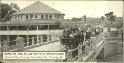 Some of the Amusements in Hershey Park Postcard