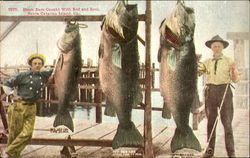 Black Bass Caught With Rod and Reel, Santa Catalina Island, Ca California Postcard Postcard