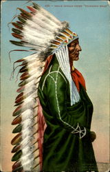 Standing Bear Native Americana Postcard Postcard