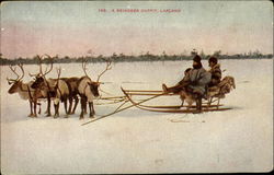 A Reindeer outfit Lapland, Norway Postcard Postcard