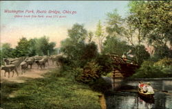 Washington Park, Rustic Bridge Postcard