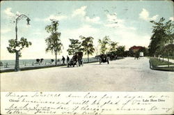 Chicago Lake Shore Drive Illinois Postcard Postcard