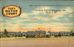 Ted's Motor Court Springfield, MO Postcard Postcard