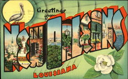 Greetings from New Orleans Postcard