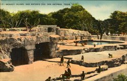 Monkey Island, San Antonio Zoo Postcard