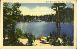 Horse Thief Lake Black Hills, SD Postcard Postcard