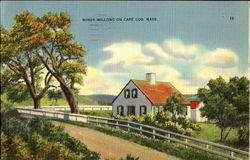 Windy Willows on Cape Cod Postcard