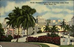 Beautiful Ocean Front Hotels from Indian Creek Miami Beach, FL Postcard Postcard