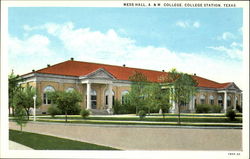 Mess Hall, A. &. M. College College Station, TX Postcard Postcard