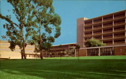 The University of California at San Diego Postcard Postcard