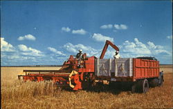 Combining in the Wheatfield of the West Farming Postcard Postcard