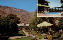 Pepper Tree Inn Palm Springs, CA Postcard Postcard