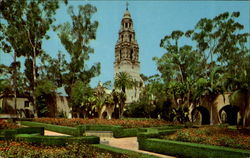 Balboa Park San Diego, CA Postcard Postcard