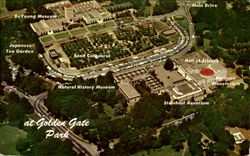 Golden Gate Park San Francisco, CA Postcard Postcard