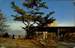 Skyland Dining Room Postcard