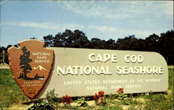 Cape Cod National Seashore Massachusetts Postcard Postcard