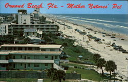 Osmond Beach, Fla - Mother Nature's Pet Postcard