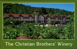 The Christian Brothers' Winery Postcard