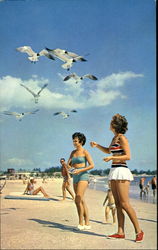 Feeding seagulls at Municipal Beach Postcard