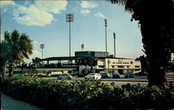 Al Lang Field St. Petersburg, FL Postcard Postcard