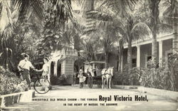 Irresistible Old World Charm - The Famous Royal Victoria Hotel Nassau, Bahamas Caribbean Islands Postcard Postcard