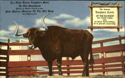 The Only Texas Longhorn Steer in the Southwest Postcard