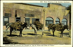 Wood Wagons of the Extreme Southwest Postcard