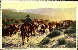 Roundup on the California Desert Postcard Postcard