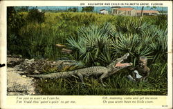 Alligator and Child in Palmetto Grove Florida Postcard Postcard