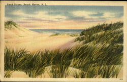 Sand Dunes Beach Haven, NJ Postcard Postcard