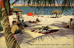 Palm shaded surfside park Postcard