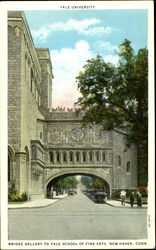 Yale University Postcard