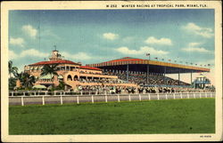 Winter Racing at Tropical Park Miami, FL Postcard Postcard