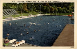 G-63 Municipal Swimming Pool in Cleveland Park, Greenville, S.C Postcard