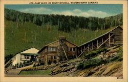 Camp Alice, on Mount Mitchell, Western North Carolina South Toe, NC Postcard Postcard