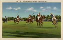 Polo. An Interesting Sport in the Southland Postcard