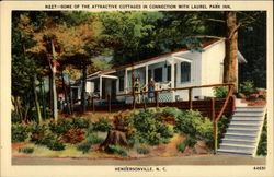 Some of the Attractive Cottages in Connection With Laurel Park Inn Hendersonville, NC Postcard Postcard