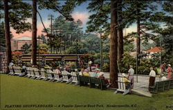 Playing Shuffleboard--A Popular Sport at Boyd Park Hendersonville, NC Postcard Postcard