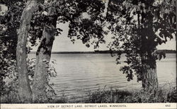 View of Detroit Lake Detroit Lakes, MN Postcard Postcard