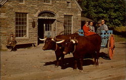 Oxen and Blacksmith Shop Cooperstown, NY Postcard Postcard