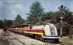 Miniature Streamliner on the Detroit Zoological Park Railroad Postcard